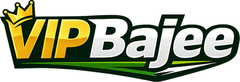 VIP Bajee Logo